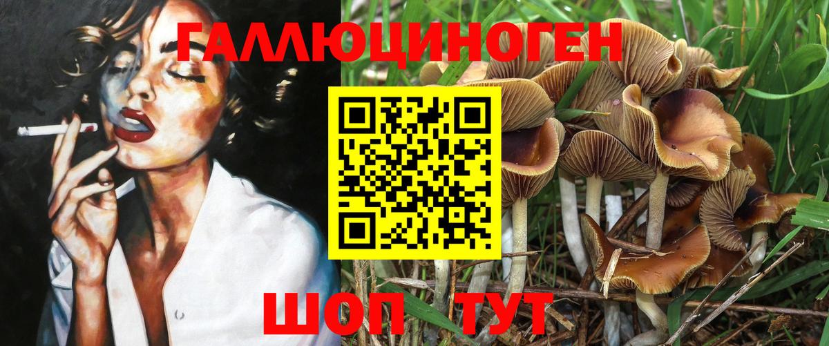 Псилоцибиновые грибы MAGIC MUSHROOMS  Вход с VPN  где продают   Псилоцибиновые грибы мухоморы  Екатеринбург 